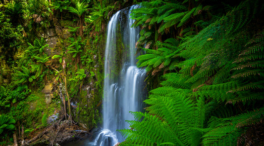 Waterfalls of the Great Otway National Park