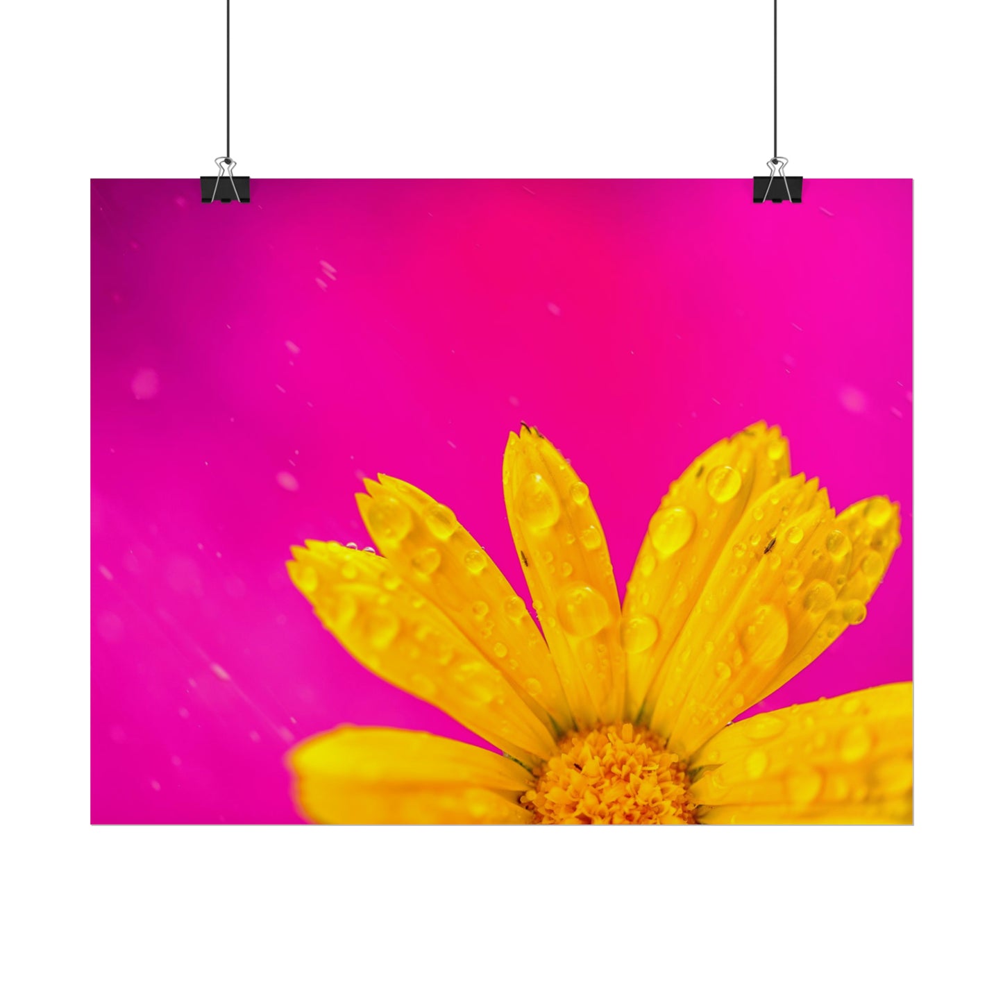 Beautiful yellow flower printed on rollable poster