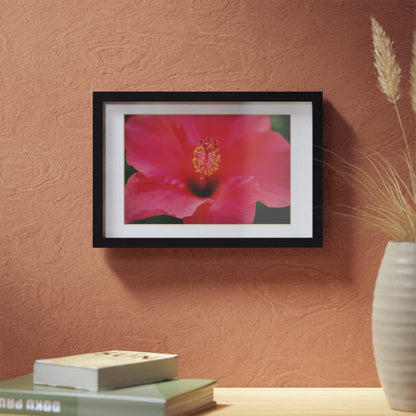 A beautiful hibiscus flower printed on a black framed poster