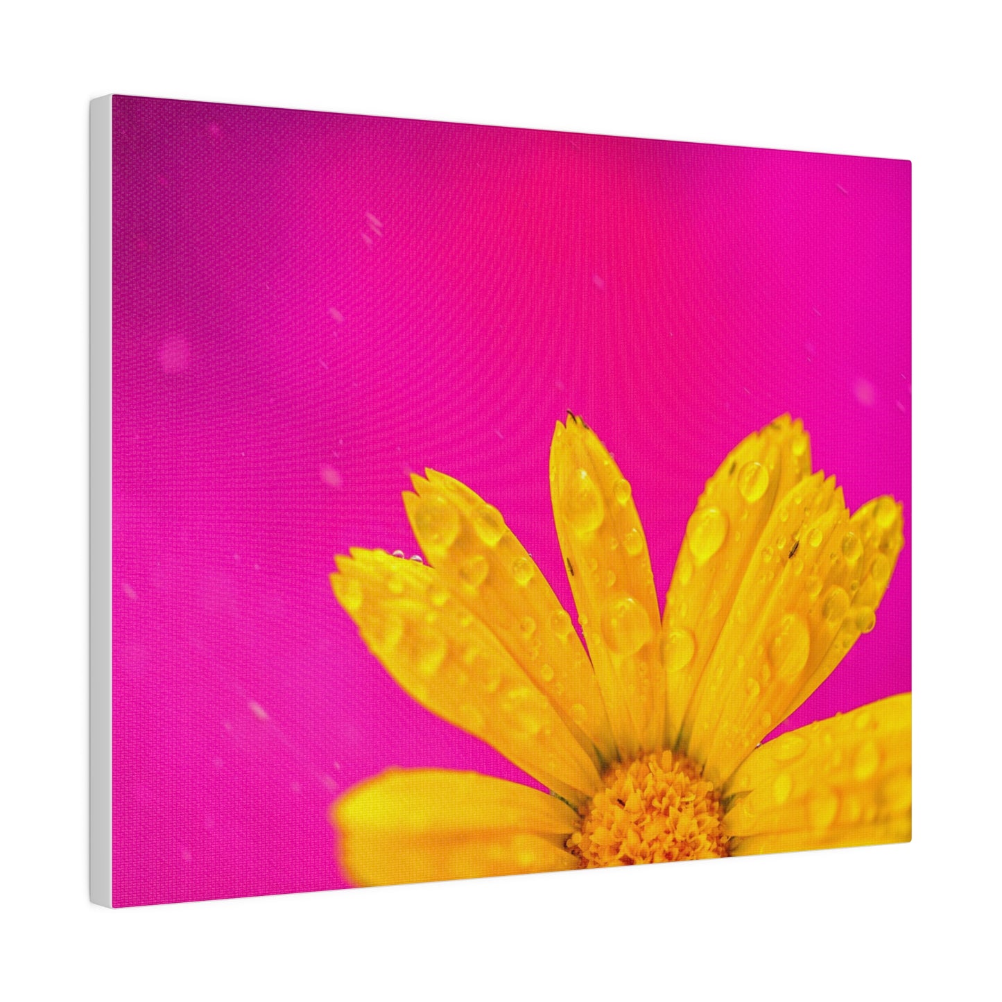 Beautiful yellow flower printed in a stretched matte canvas