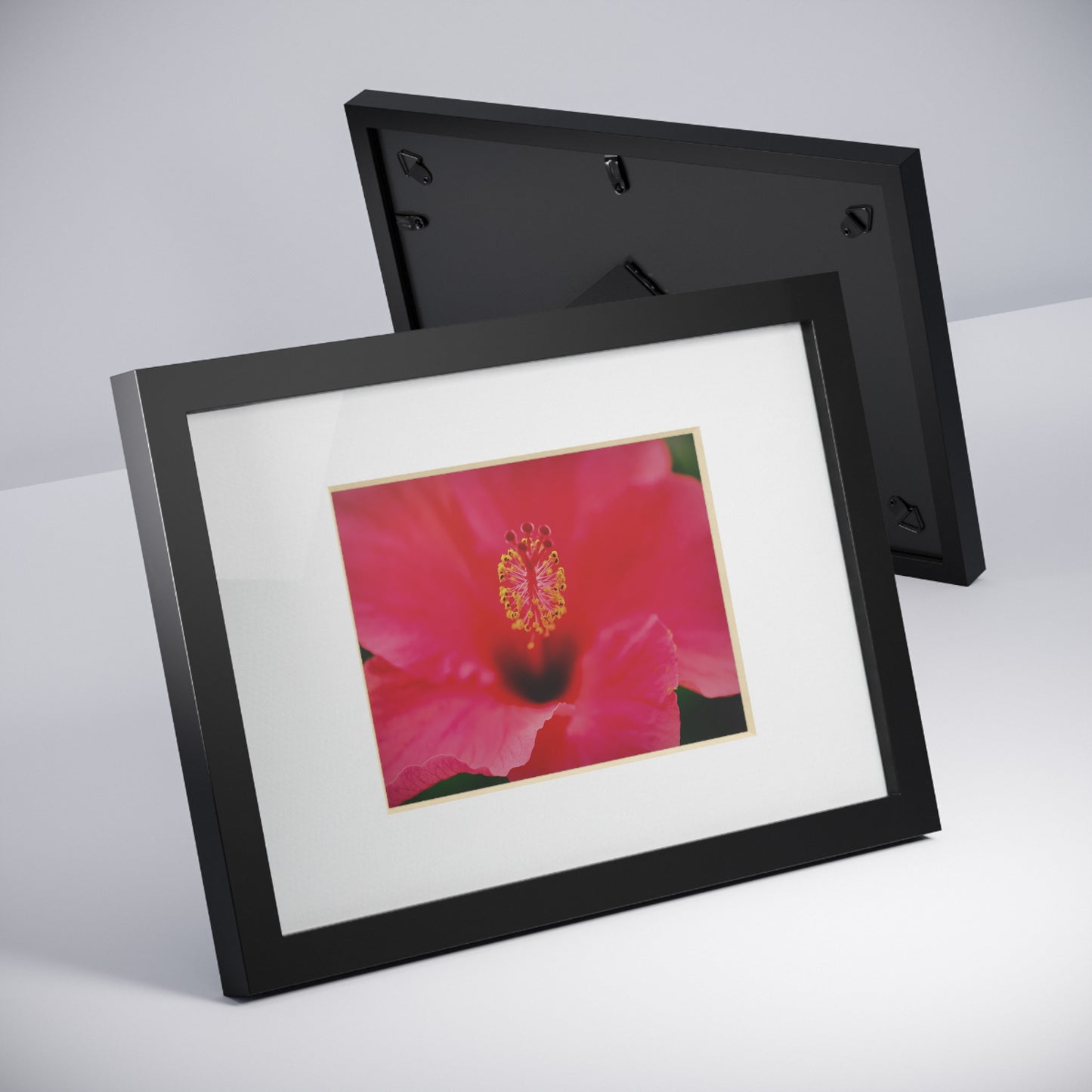 A beautiful hibiscus flower printed on a black framed poster