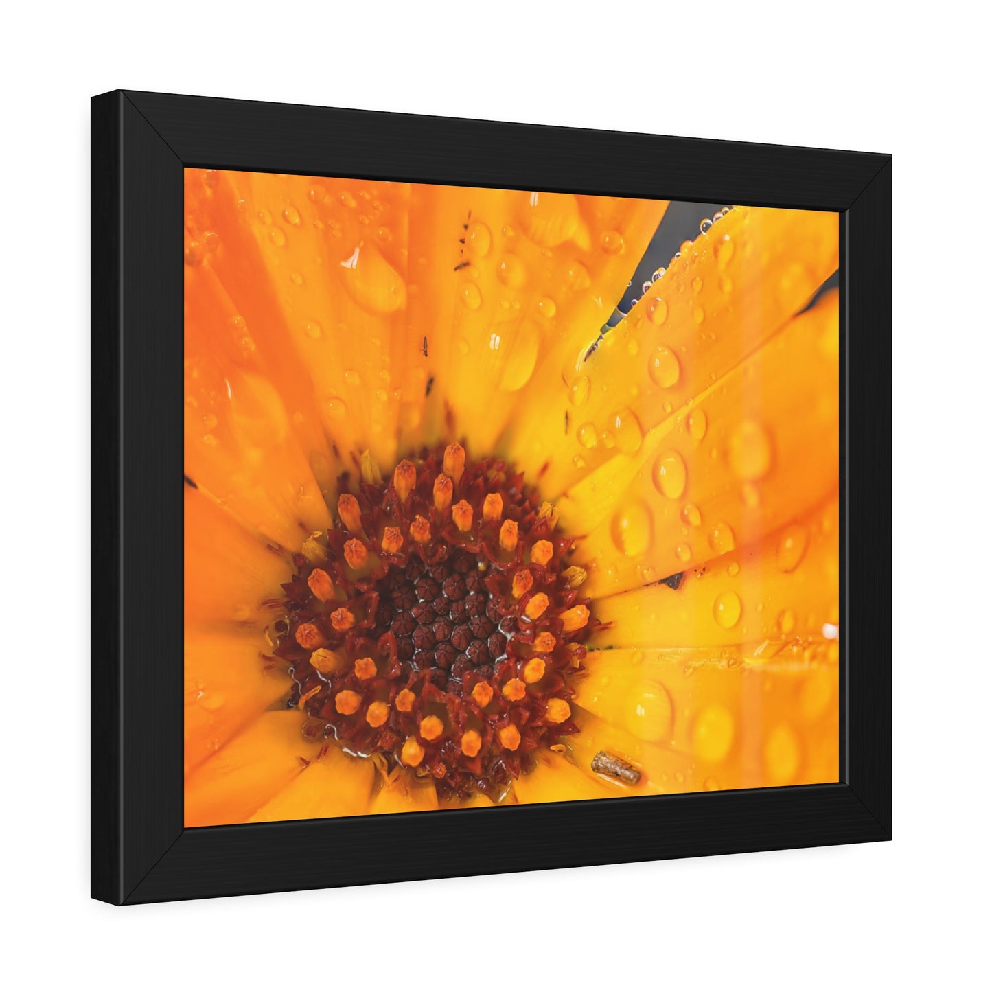 Drenched yellow flower printed on a framed paper poster