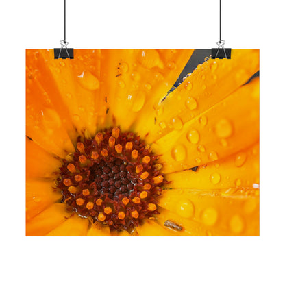 Drenched yellow flower printed on a rollable poster