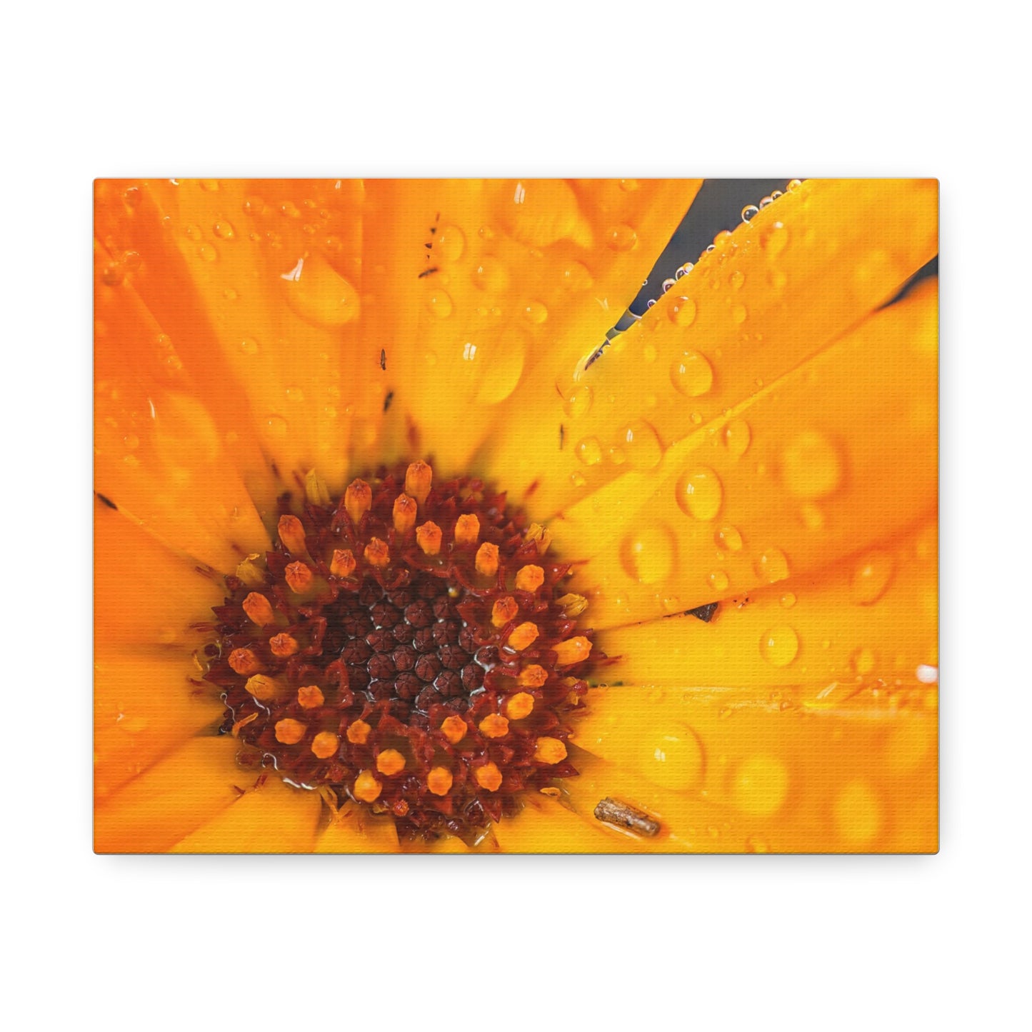 Drenched yellow flower printed on a stretched satin canvas