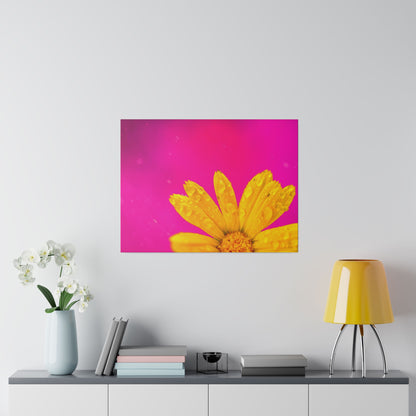 Beautiful yellow flower printed in a stretched matte canvas