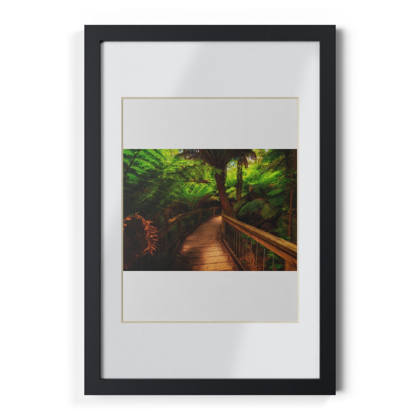 Wooden bridge winding through a lush forest of tall ferns printed black framed poster