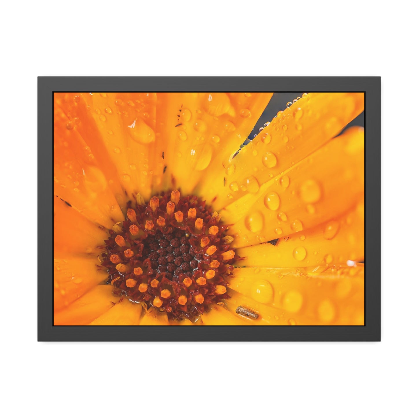 Drenched yellow flower printed on a framed paper poster