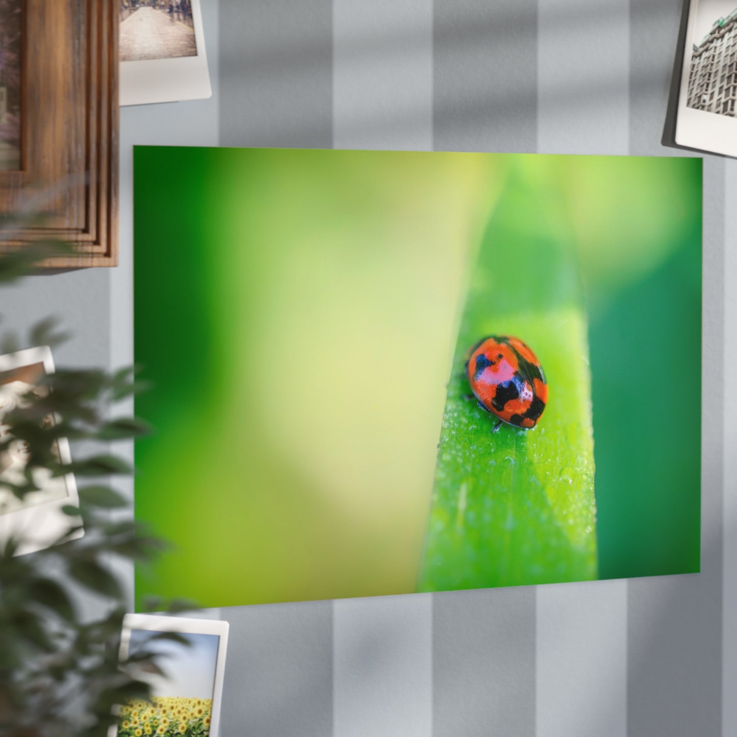 A macro print of a beautiful lady bug