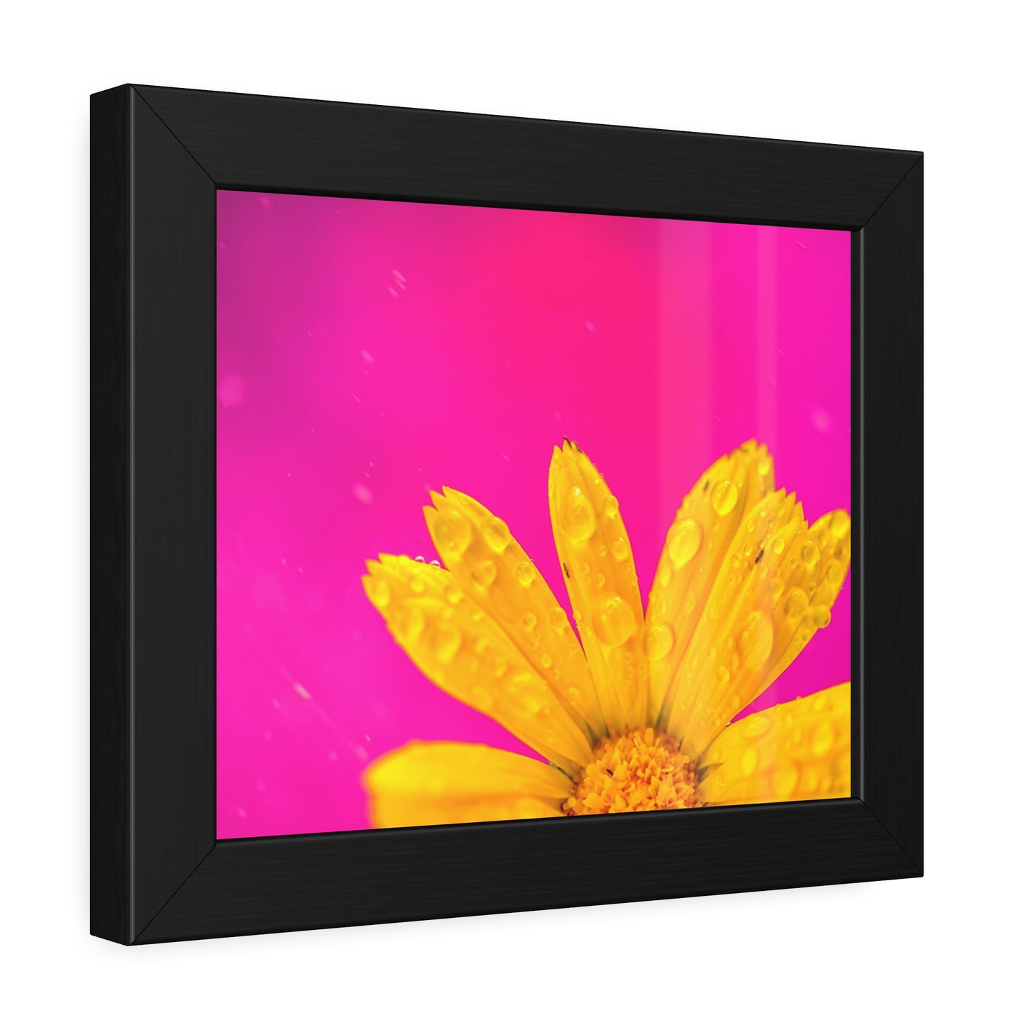 Beautiful yellow flower printed on a framed paper poster