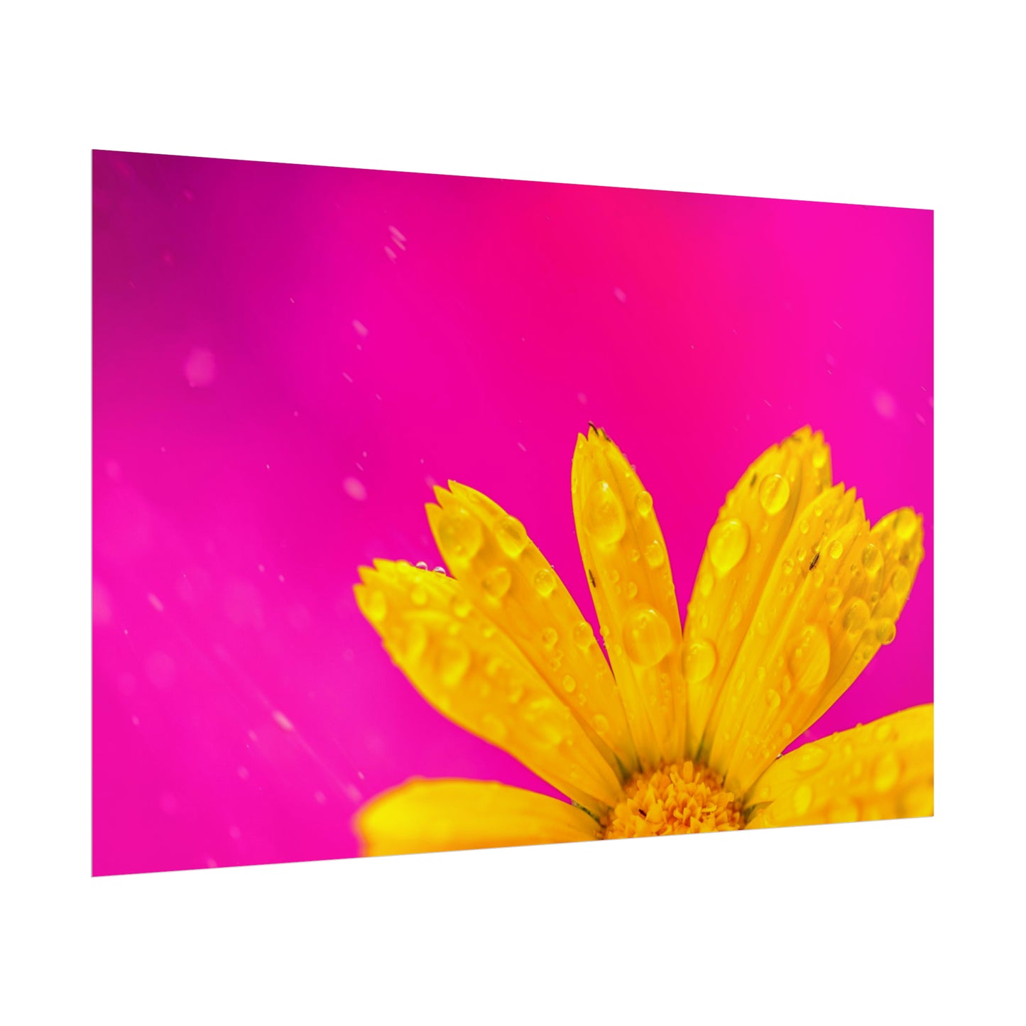 Beautiful yellow flower printed on rollable poster