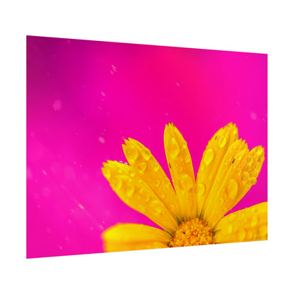 Beautiful yellow flower printed on rollable poster