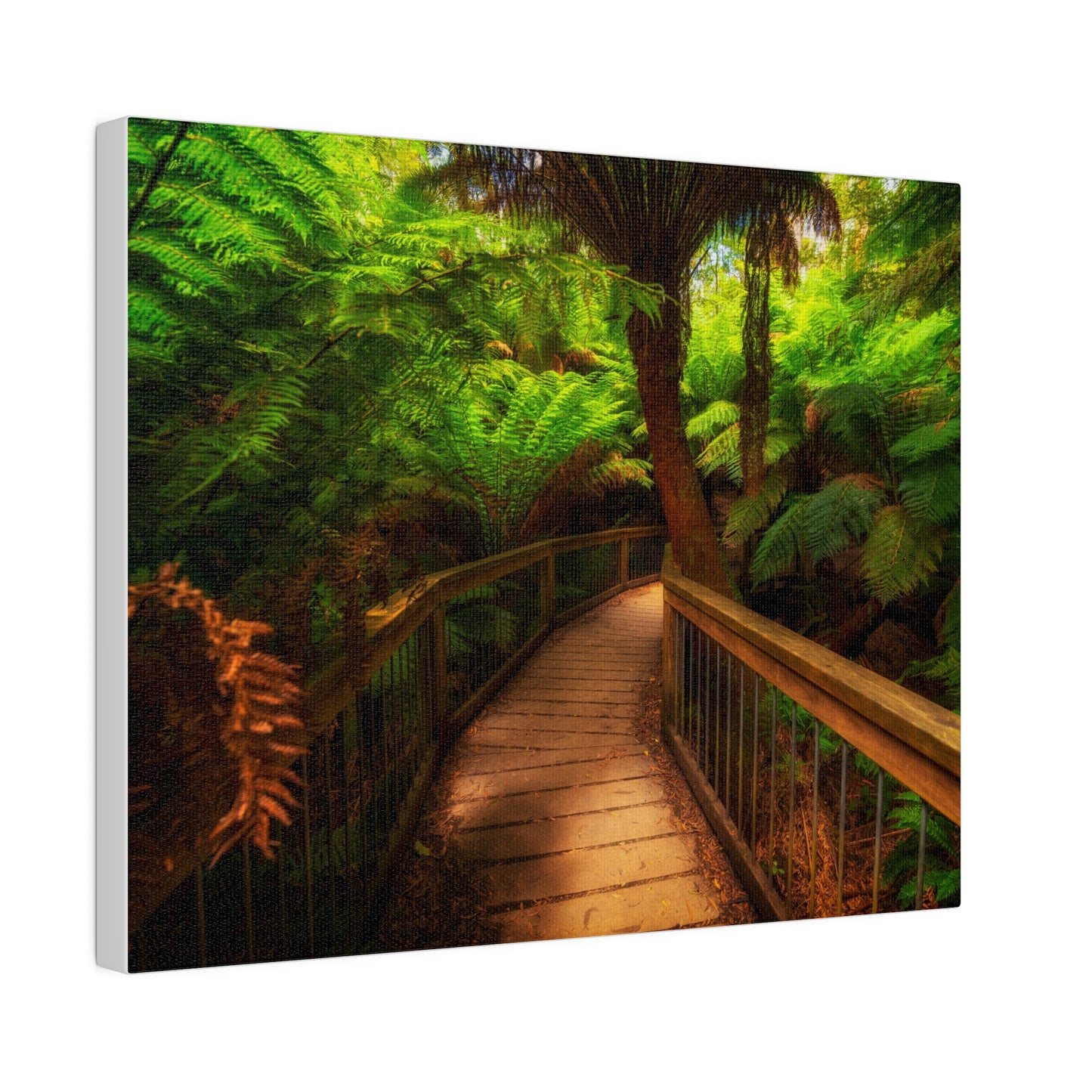 Wooden bridge winding through a lush forest of tall ferns printed on a stretched matte canvas