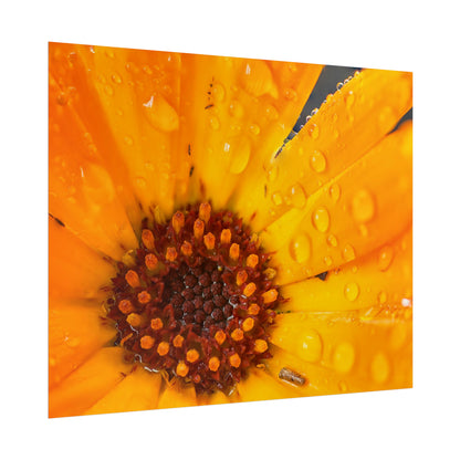 Drenched yellow flower printed on a rollable poster