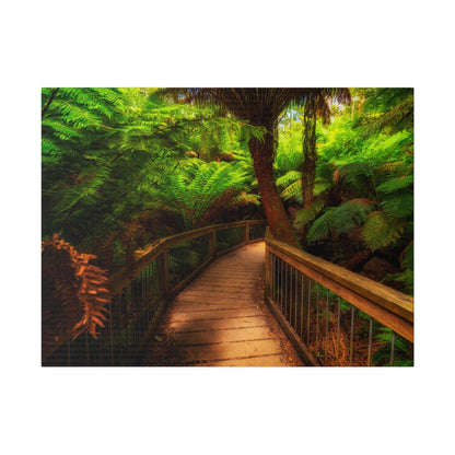 Wooden bridge winding through a lush forest of tall ferns printed on a stretched matte canvas