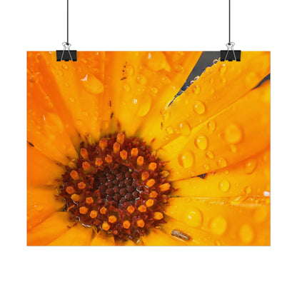 Drenched yellow flower printed on a rollable poster