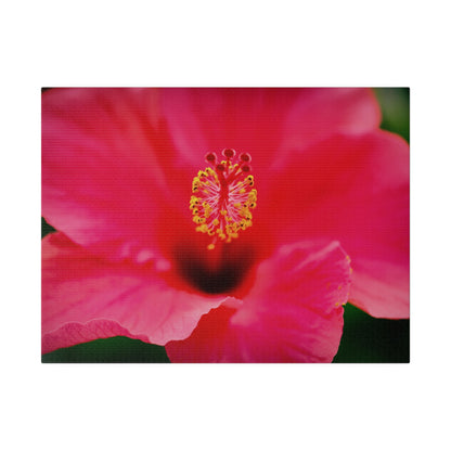 A beautiful hibiscus flower printed on a stretched matte canvas