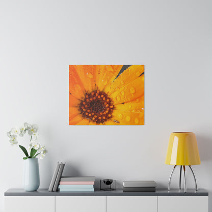 Orange flower petals drenched in dew printed on a stretched matte canvas