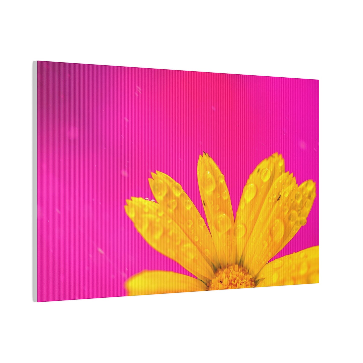 Beautiful yellow flower printed in a stretched matte canvas