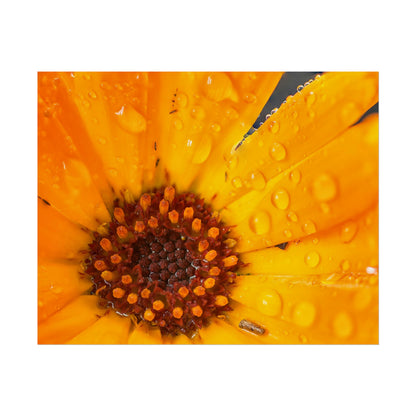 Drenched yellow flower printed on a rollable poster