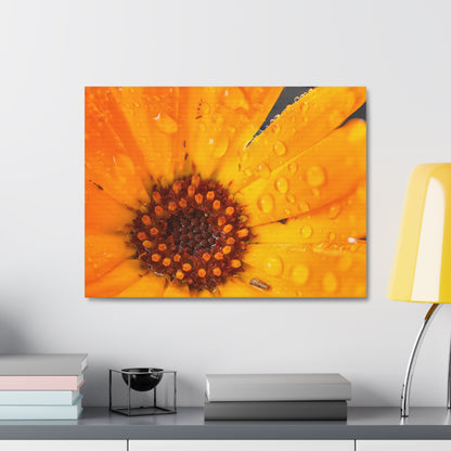 Drenched yellow flower printed on a stretched satin canvas