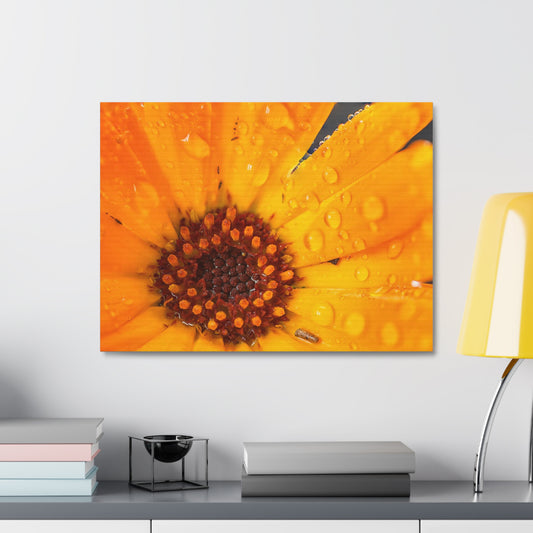 Drenched yellow flower printed on a stretched satin canvas