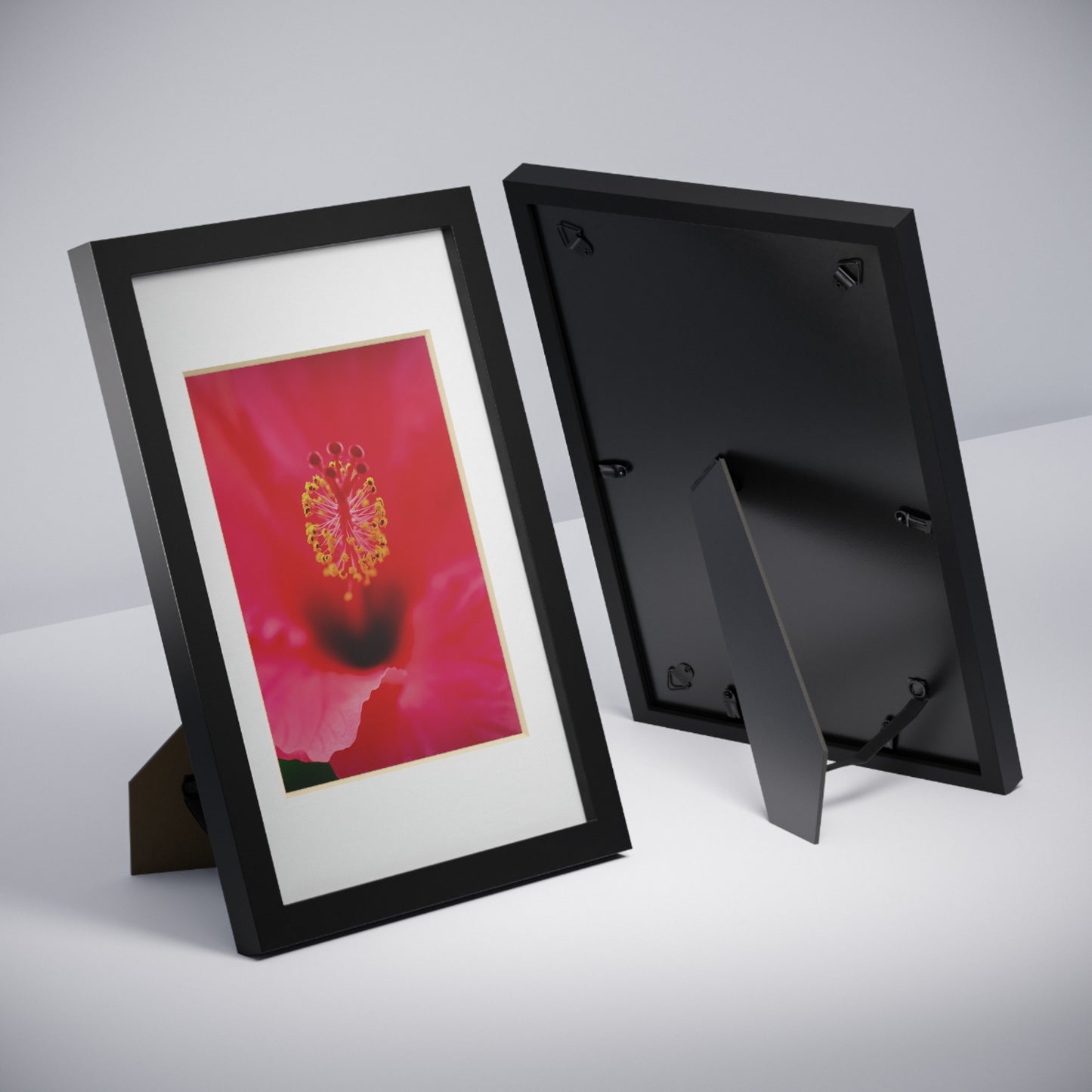 A beautiful hibiscus flower printed on a black framed poster