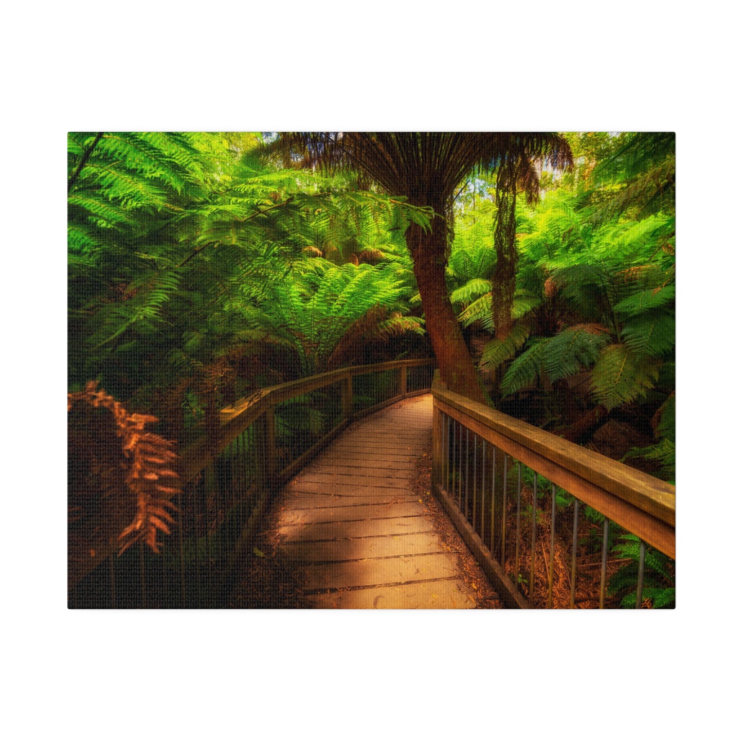 Wooden bridge winding through a lush forest of tall ferns printed on a stretched matte canvas