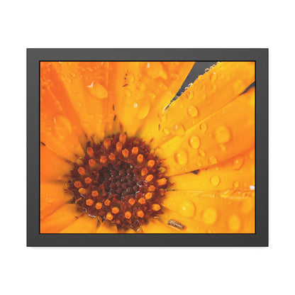 Drenched yellow flower printed on a framed paper poster