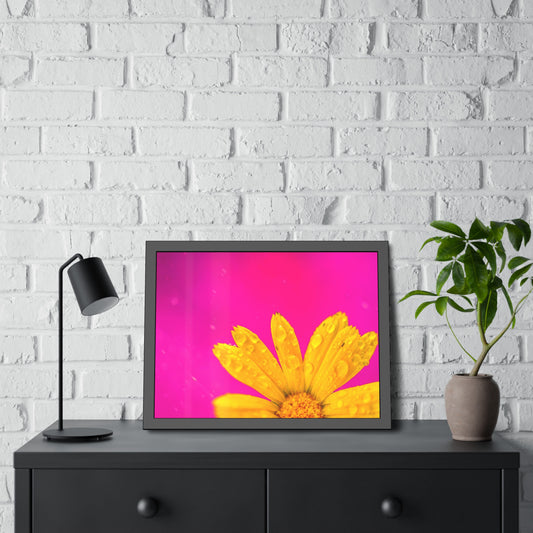 Beautiful yellow flower printed on a framed paper poster