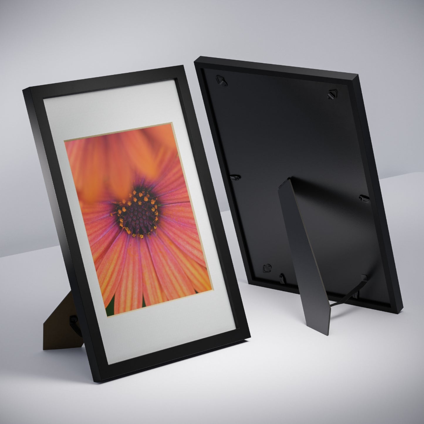 Colorful daisy printed on a black framed posters