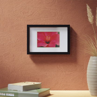 A beautiful hibiscus flower printed on a black framed poster