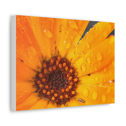 Drenched yellow flower printed on a stretched satin canvas