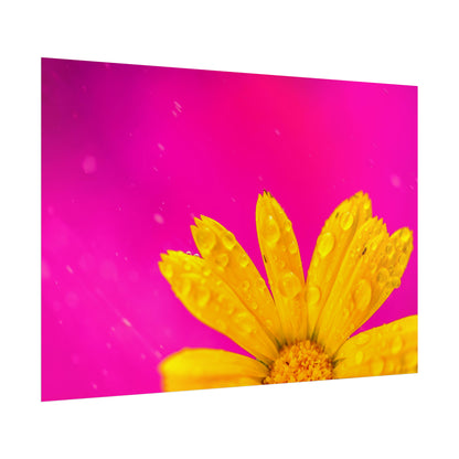 Beautiful yellow flower printed on rollable poster