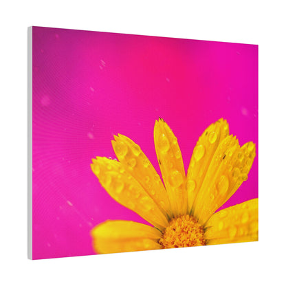 Beautiful yellow flower printed in a stretched matte canvas