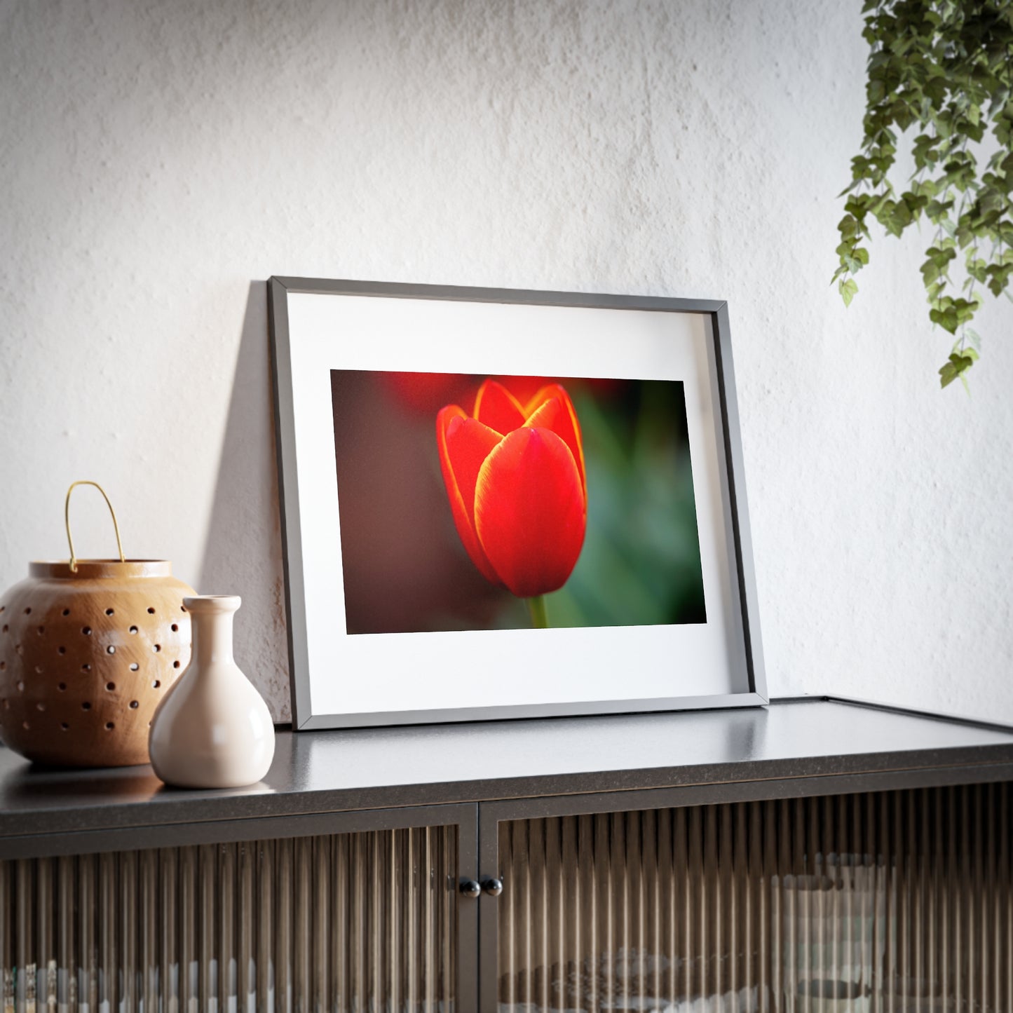 Fiery red and yellow tulip on a framed matte  poster