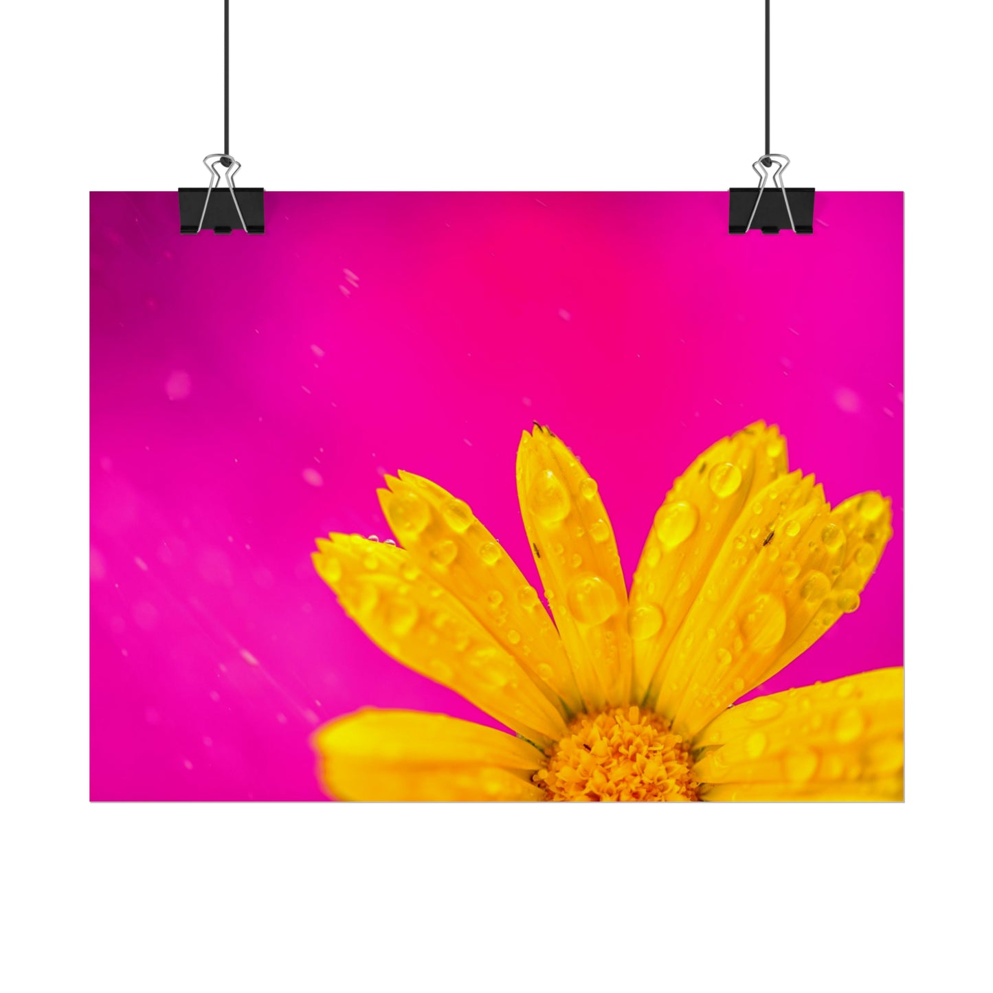 Beautiful yellow flower printed on rollable poster