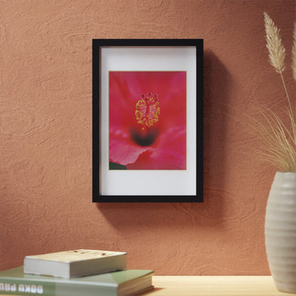 A beautiful hibiscus flower printed on a black framed poster