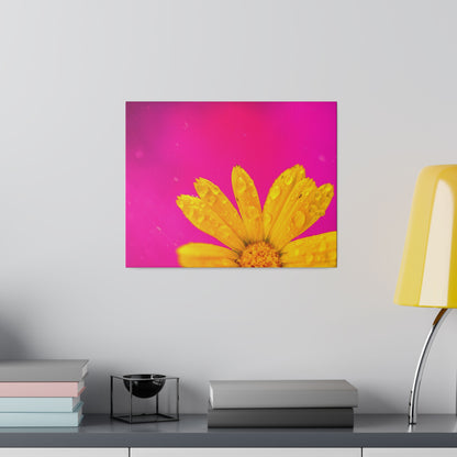 Beautiful yellow flower printed in a stretched matte canvas