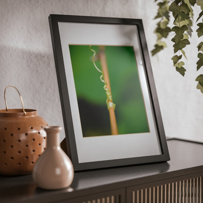 Nature's grip! A stunning macro print on a stretched matte canvas