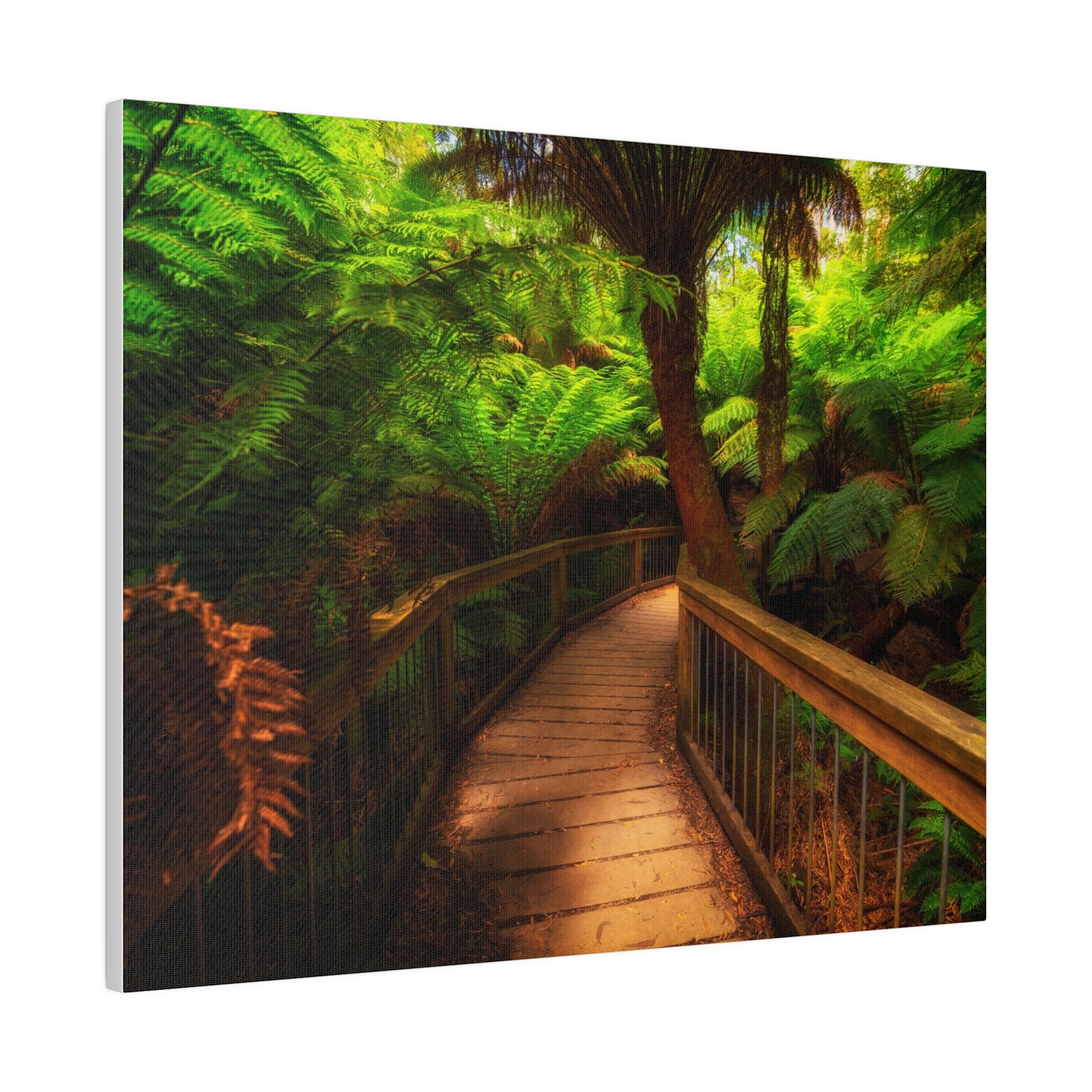 Wooden bridge winding through a lush forest of tall ferns printed on a stretched matte canvas