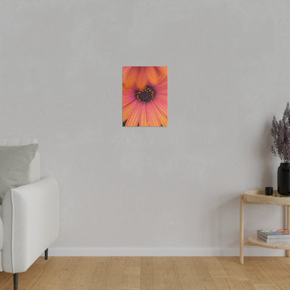 Colorful daisy printed on a stretched matte canvas