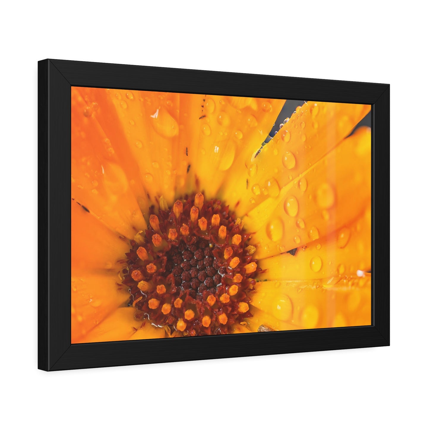 Drenched yellow flower printed on a framed paper poster