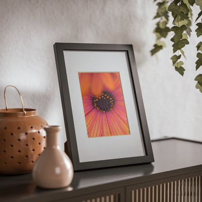 Colorful daisy printed on a black framed posters