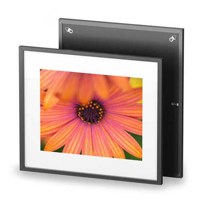 Colorful daisy printed on a framed matte poster