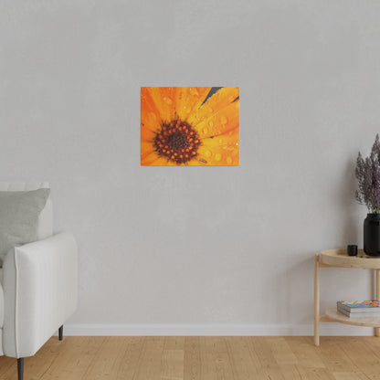 Orange flower petals drenched in dew printed on a stretched matte canvas