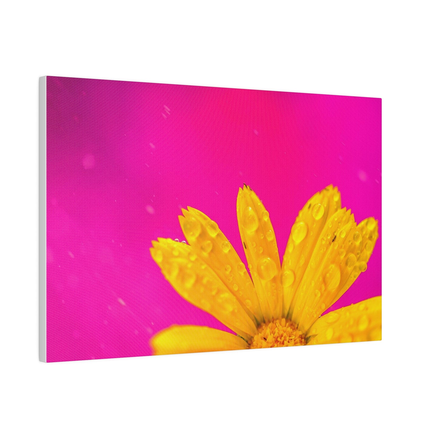 Beautiful yellow flower printed in a stretched matte canvas