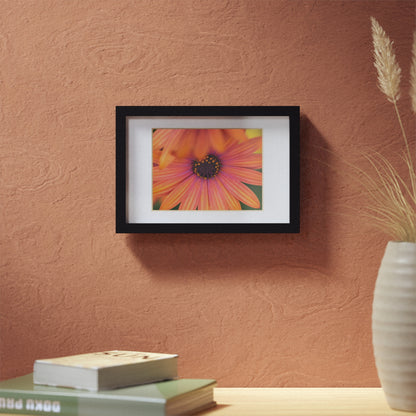 Colorful daisy printed on a black framed posters