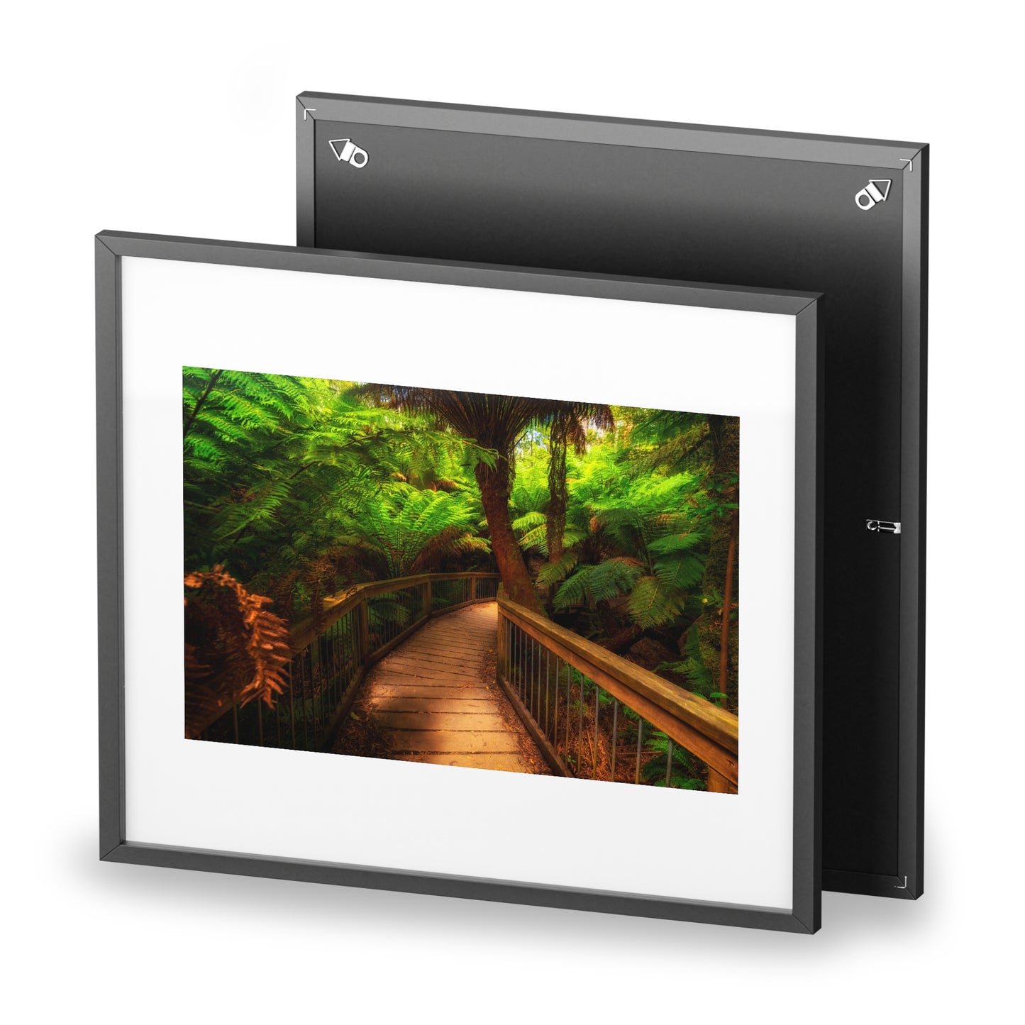 Wooden bridge winding through a lush forest of tall ferns printed on a framed matte poster