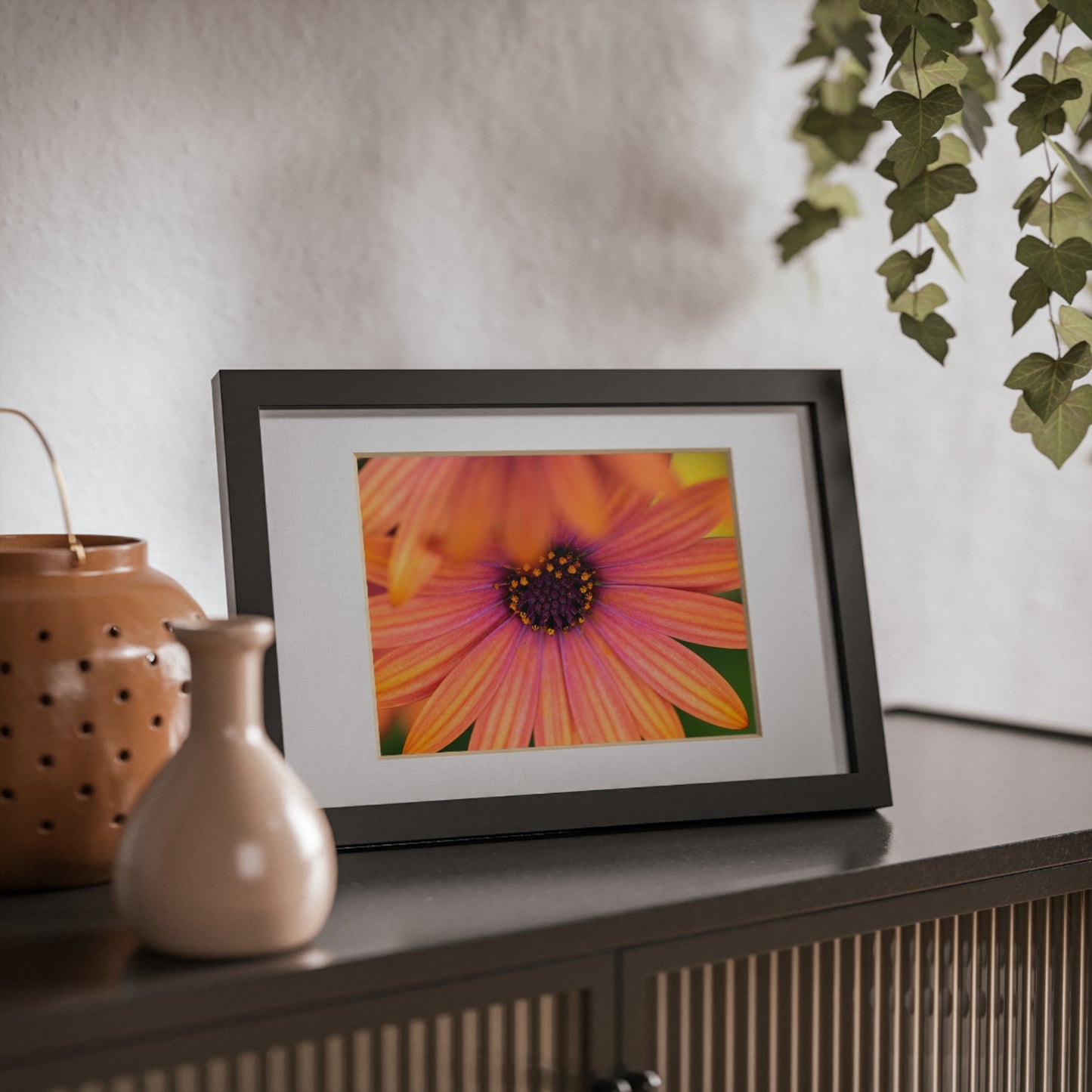 Colorful daisy printed on a black framed posters