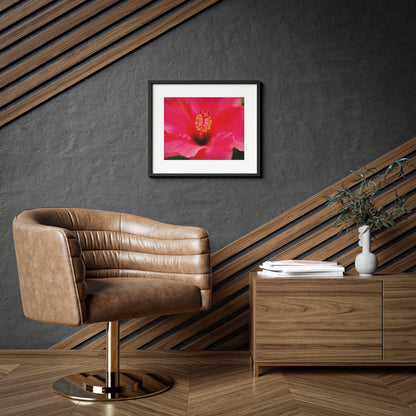 A beautiful hibiscus flower printed on a framed matte poster